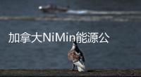 加拿大NiMin能源公司2010年底探明儲量增長45%