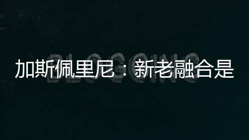 加斯佩里尼:新老融合是最大的工作
