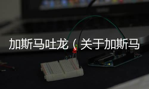 加斯馬吐龍（關于加斯馬吐龍的基本情況說明介紹）