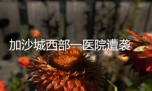 加沙城西部一醫(yī)院遭襲 造成2名醫(yī)生死亡