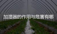 加濕器的作用與危害有哪些（加濕器的作用與危害）