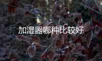 加濕器哪種比較好