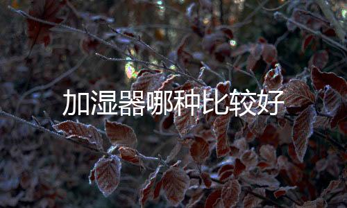 加濕器哪種比較好