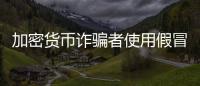 加密貨幣詐騙者使用假冒的"亞馬遜Token"網(wǎng)站欺騙受害者