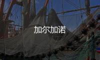 加爾加諾