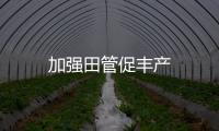 加強(qiáng)田管促豐產(chǎn)