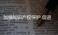 加強(qiáng)知識(shí)產(chǎn)權(quán)保護(hù) 促進(jìn)互聯(lián)網(wǎng)健康發(fā)展