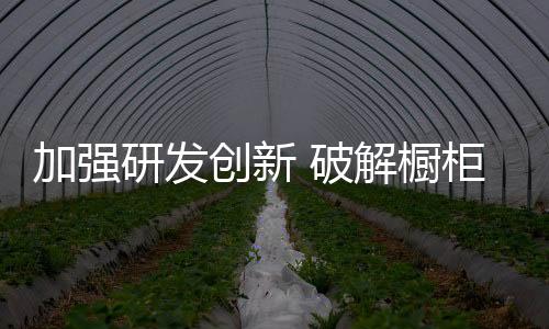 加強研發創新 破解櫥柜行業“甲醛門”之困