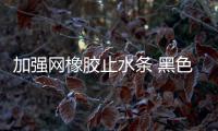 加強(qiáng)網(wǎng)橡膠止水條 黑色遇水膨脹止水條技術(shù)標(biāo)準(zhǔn)