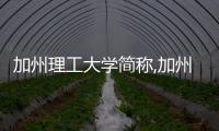 加州理工大學簡稱,加州理工大學