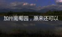 加州葡萄園，原來還可以這樣觀光