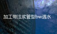 加工帶注漿管型bw遇水膨脹止水條