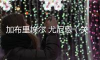 加布里埃爾 尤尼恩（關于加布里埃爾 尤尼恩的基本情況說明介紹）