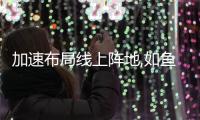 加速布局線上陣地,如魚得水窗簾精品天貓旗艦店開張了