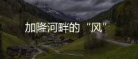 加隆河畔的“風”