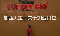 加西貝拉（關于加西貝拉的基本情況說明介紹）