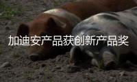 加迪安產品獲創(chuàng)新產品獎,國際動態(tài)