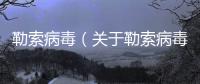 勒索病毒（關(guān)于勒索病毒的基本情況說明介紹）