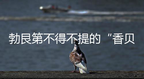 勃艮第不得不提的“香貝丹”特級園