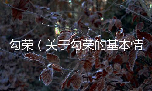勾榮（關于勾榮的基本情況說明介紹）