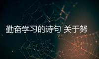 勤奮學(xué)習(xí)的詩(shī)句 關(guān)于努力學(xué)習(xí)的詩(shī)句有哪些