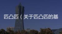匹凸匹（關于匹凸匹的基本情況說明介紹）
