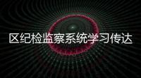 區(qū)紀(jì)檢監(jiān)察系統(tǒng)學(xué)習(xí)傳達中紀(jì)委全會、省紀(jì)委全會精神