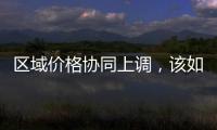 區(qū)域價格協(xié)同上調(diào)，該如何應(yīng)對？,行業(yè)資訊