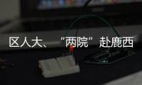 區人大、“兩院”赴鹿西鄉開展2019年度工作報告意見征求