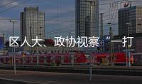 區人大、政協視察“一打三整治”工作