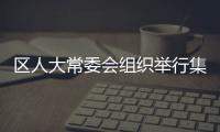 區人大常委會組織舉行集體憲法宣誓儀式