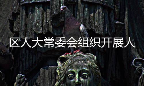 區人大常委會組織開展人大代表會前視察活動