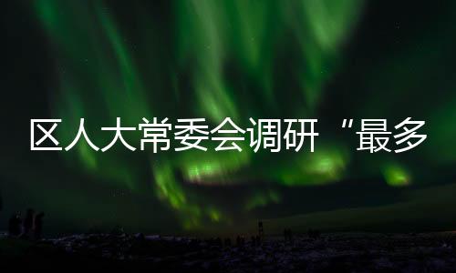 區(qū)人大常委會調(diào)研“最多跑一次”改革工作