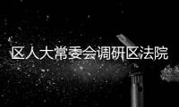 區人大常委會調研區法院工作