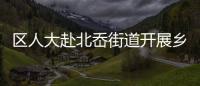 區人大赴北岙街道開展鄉村振興建設情況調研