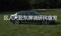 區人大赴東屏調研民宿發展情況
