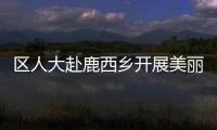 區人大赴鹿西鄉開展美麗鄉村創建督查工作