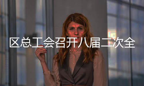 區(qū)總工會召開八屆二次全委（擴大）會議