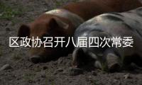 區政協召開八屆四次常委會