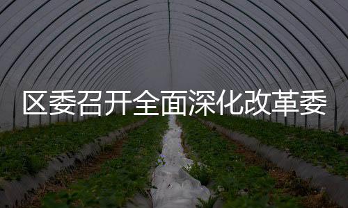 區委召開全面深化改革委員會第四次會議