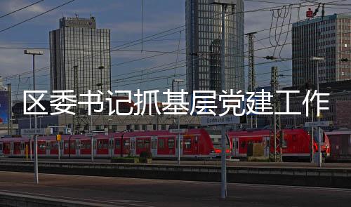 區(qū)委書(shū)記抓基層黨建工作會(huì)議： 守初心擔(dān)使命 為人民群眾謀幸福