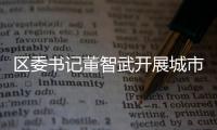 區委書記董智武開展城市亮點項目督查