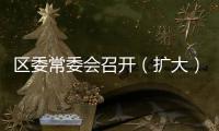 區委常委會召開（擴大）會議 傳達學習省市領導重要講話精神