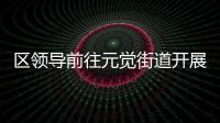 區領導前往元覺街道開展港航經濟調研