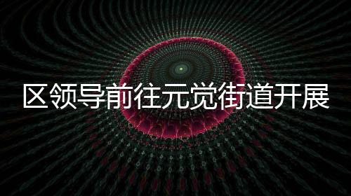 區(qū)領(lǐng)導(dǎo)前往元覺(jué)街道開(kāi)展港航經(jīng)濟(jì)調(diào)研