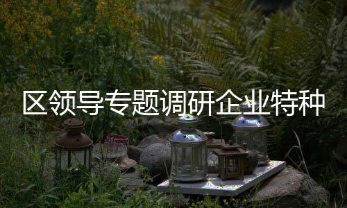 區領導專題調研企業特種設備生產裝置改造工作