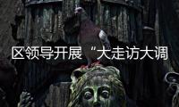 區領導開展“大走訪大調研大服務大解題”活動