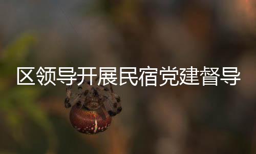 區領導開展民宿黨建督導工作