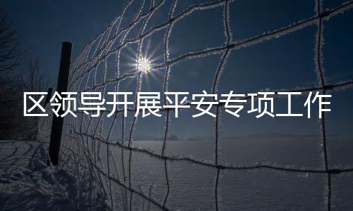 區領導開展平安專項工作督查