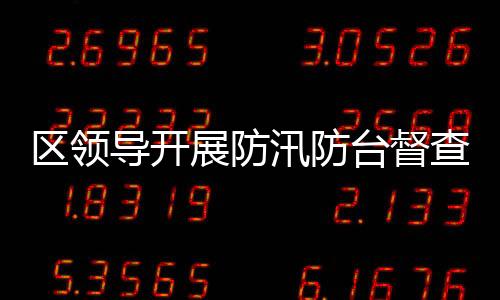 區(qū)領(lǐng)導(dǎo)開展防汛防臺督查